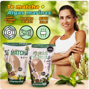 TE MATCHA + ALGAS MARINAS