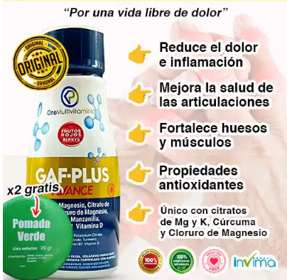 GAFPLUS